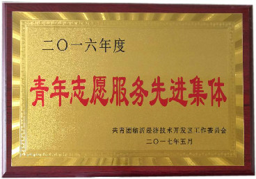 青年志愿服務(wù)先進集體